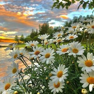 Meet your Posher, Kruti